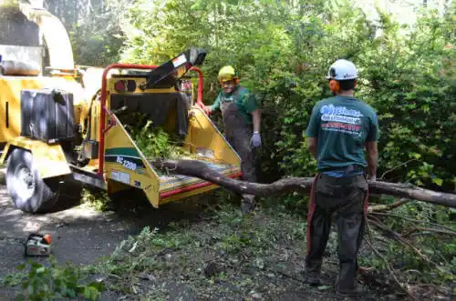 tree services Loma Rica